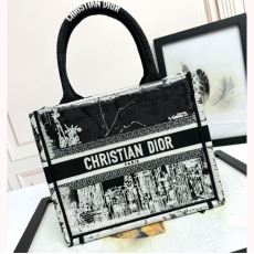 Christian Dior Shopping Bags